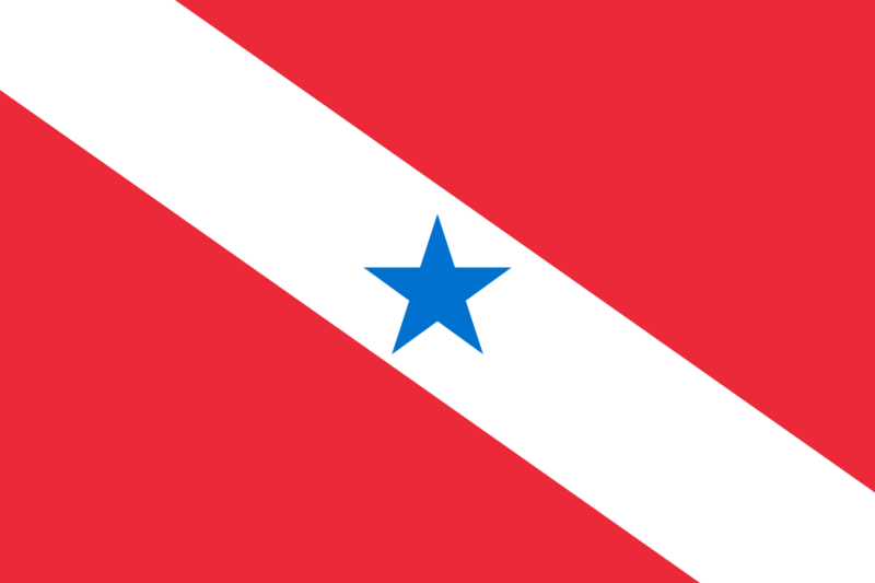 Fil:Bandeira do Pará.svg