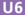 U6