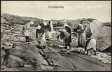Klippfisktørking på Nordlandet i Kristiansund Foto: A. B. Wilse