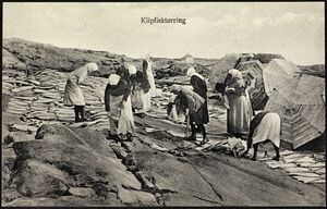 57. Klipfisktørring (14431893509).jpg