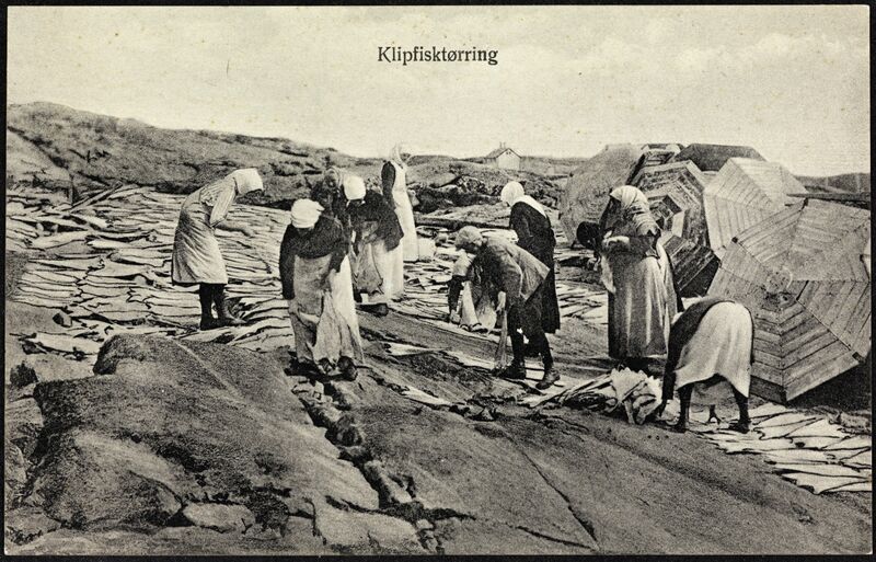 Fil:57. Klipfisktørring (14431893509).jpg