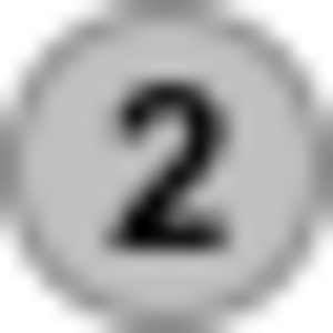 Silver medal icon.svg