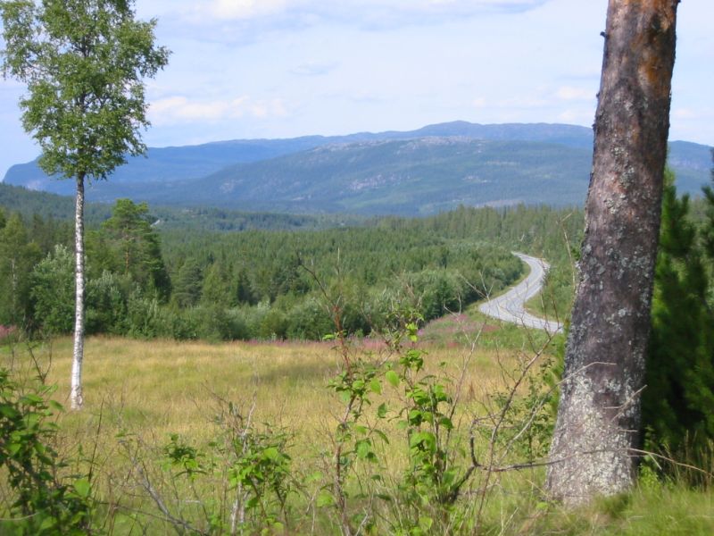 Fil:E6-Grong-Namdalen.jpg