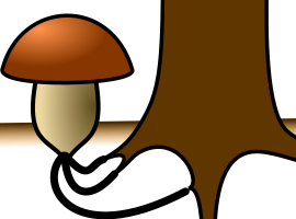 Fil:Mycorrhizal fungus.svg