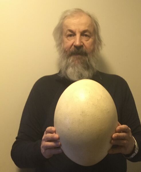 Fil:Vorombe titan egg.jpg