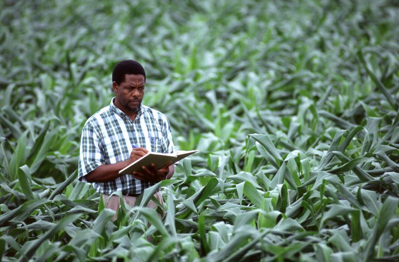 Fil:Cropscientist.jpg