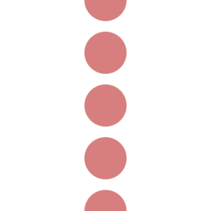 BSicon exLSTR.svg