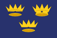 Munsters flagg