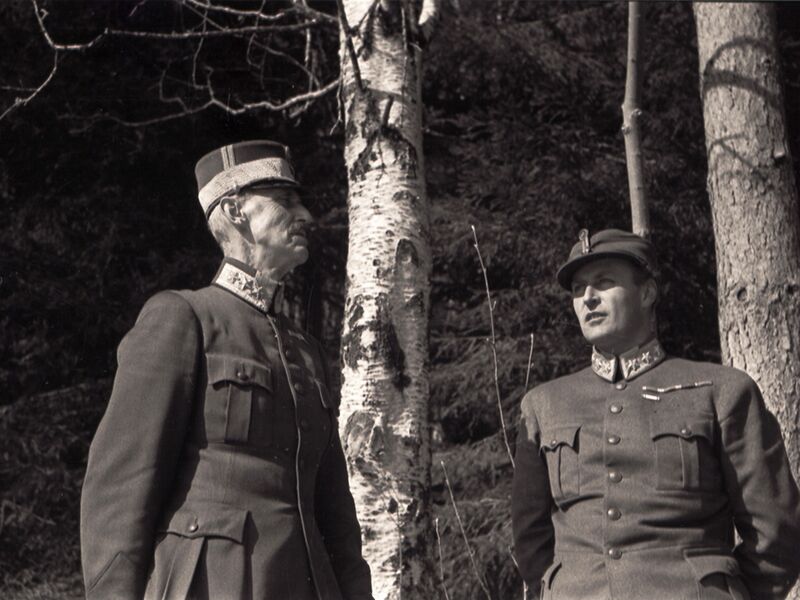 Fil:Kongebjorka.jpg