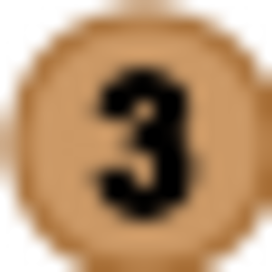 Bronze medal icon.svg