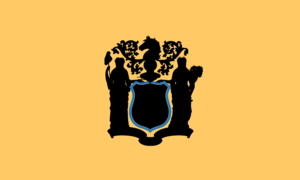 Flag of New Jersey.svg