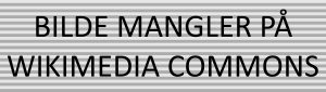 Ribbon Bar - bilde mangler.png