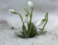 Miniatyrbilde av versjonen fra 17. jun. 2025 kl. 08:08