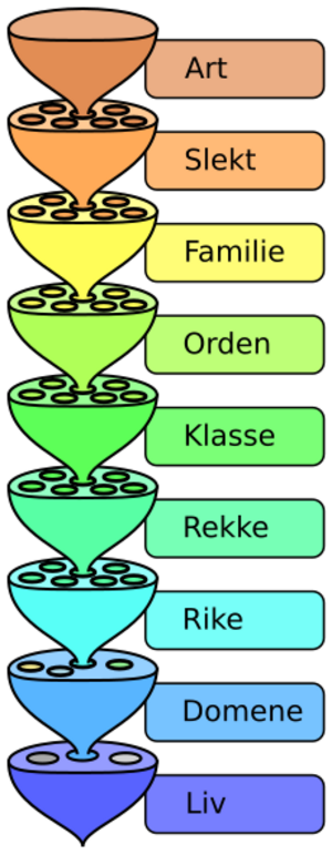 Biological classification L Pengo-no.svg