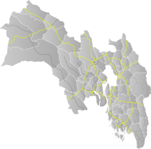 Riksveier Viken.svg