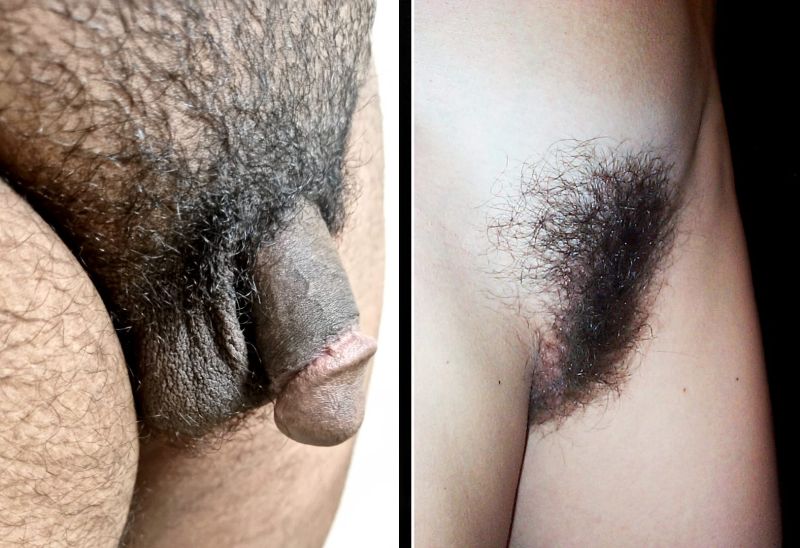 Fil:Male and female public hair.jpg