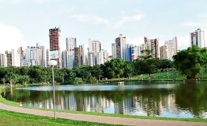 Goiania-vaca-brava.jpg