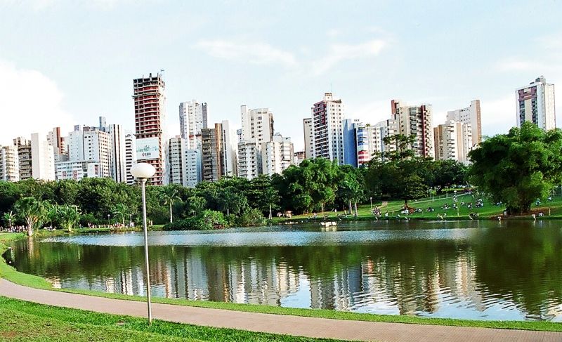 Fil:Goiania-vaca-brava.jpg