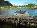 Miniatyrbilde av versjonen fra 3. mai 2026 kl. 04:53