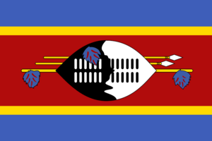 Flag of Eswatini.svg